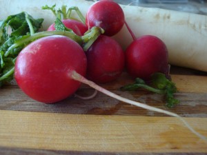 use red or white radishes