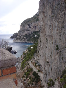 Capri views