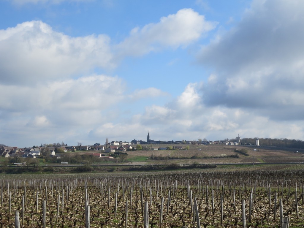 French wine country
