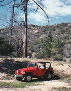 Little Red Jeep