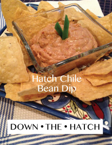 Hatch Chile Bean Dip