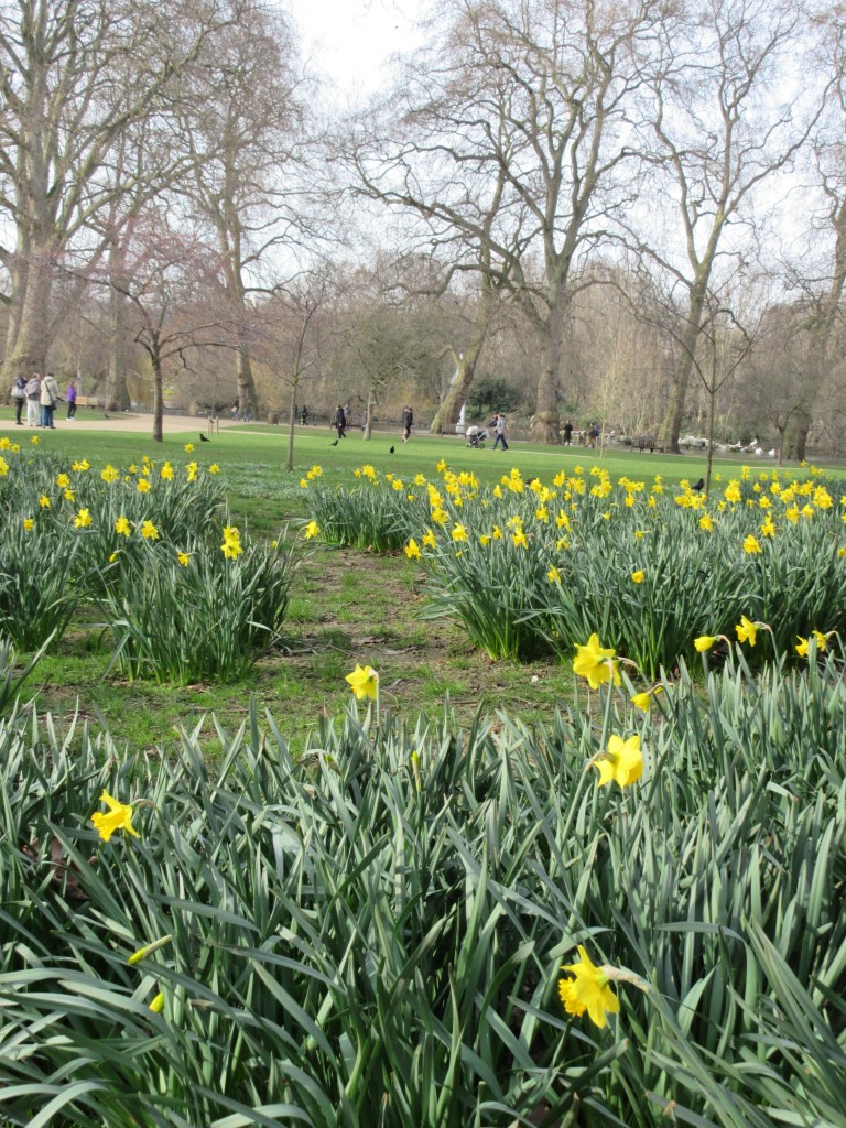 Princess of Wales Memorial Walk