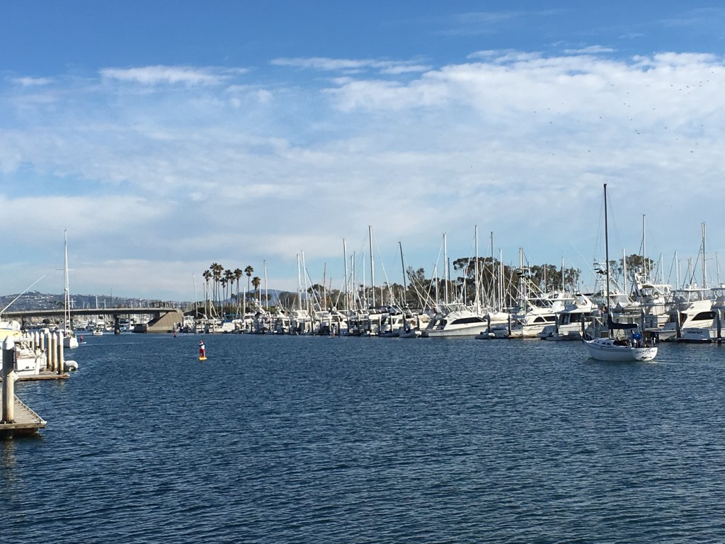 dana point harbor