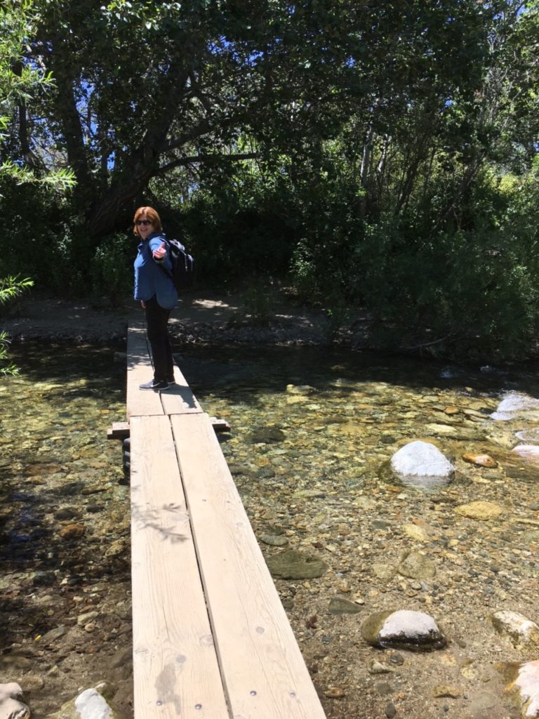 Andrew Molera State Park