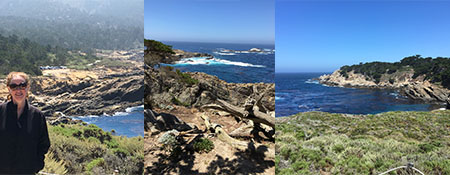 Point Lobos